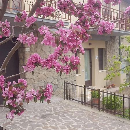卡斯蒂戈隆·多尔希亚La Casina Di Nonna Giulia公寓 外观 照片