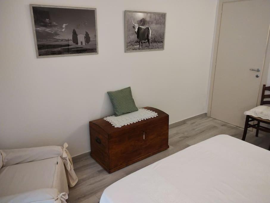 卡斯蒂戈隆·多尔希亚La Casina Di Nonna Giulia公寓 外观 照片