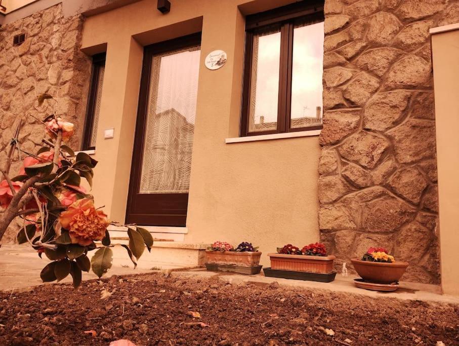 卡斯蒂戈隆·多尔希亚La Casina Di Nonna Giulia公寓 外观 照片