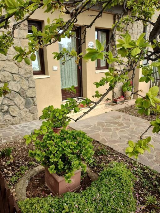 卡斯蒂戈隆·多尔希亚La Casina Di Nonna Giulia公寓 外观 照片