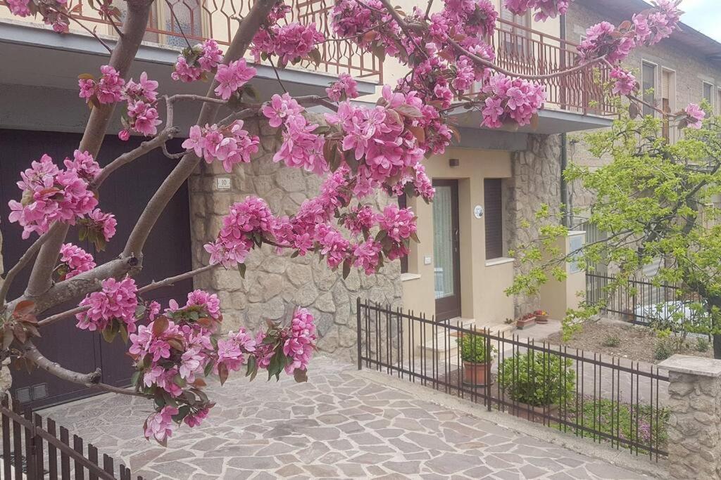 卡斯蒂戈隆·多尔希亚La Casina Di Nonna Giulia公寓 外观 照片